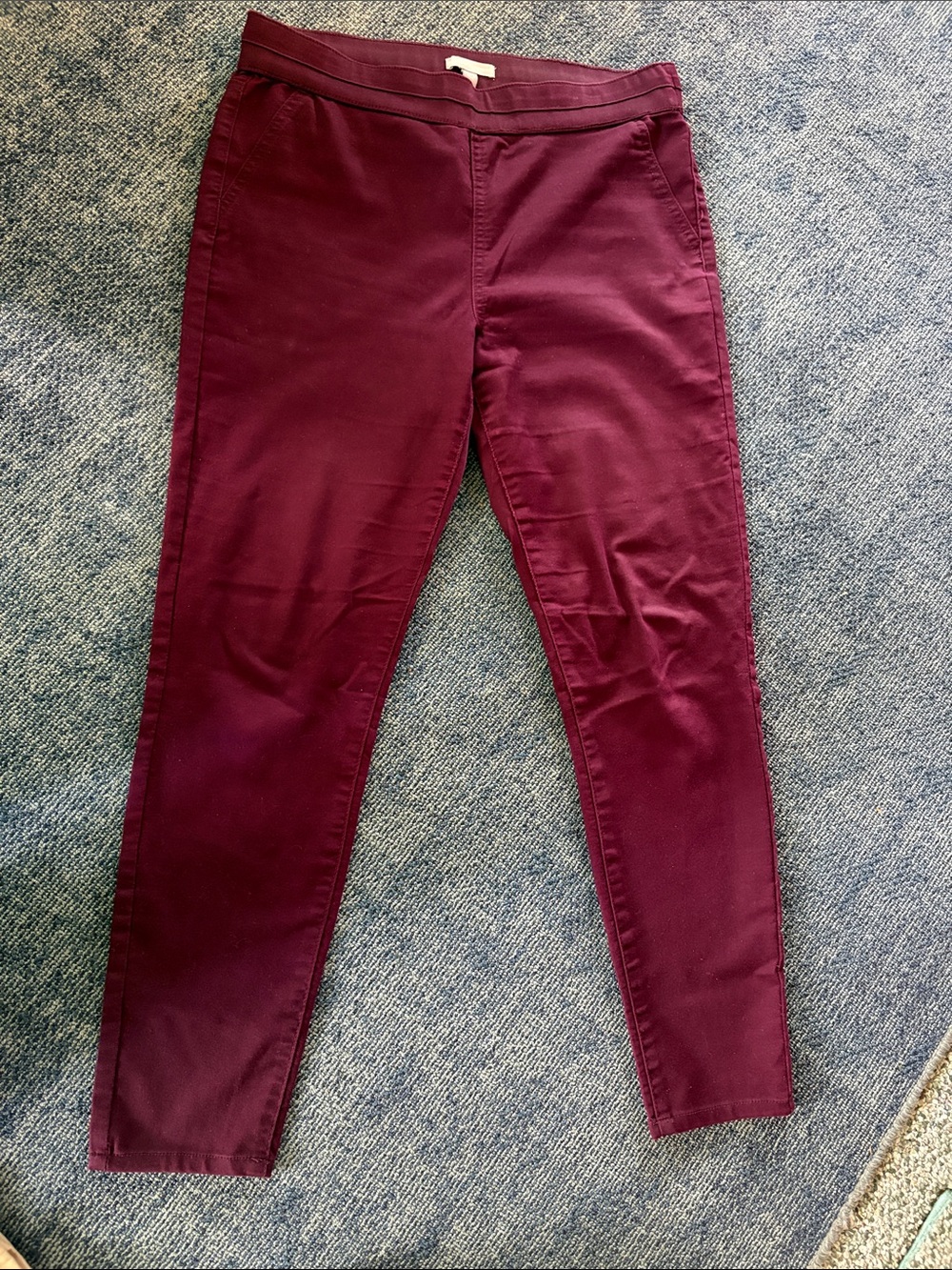 New York & Company Women's Straight Leg Pants in Burgundy